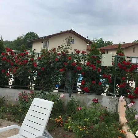 Lotos Elena's Kranevo