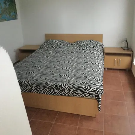 Lotos Elena's Kranevo