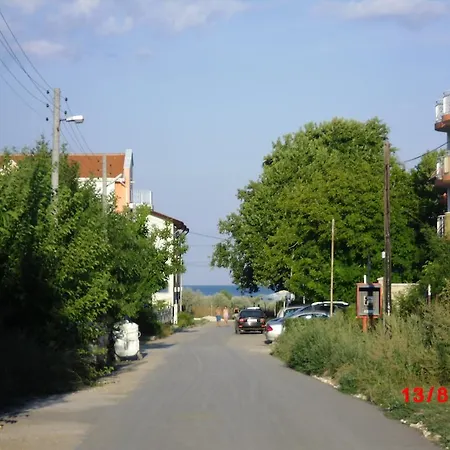 Lotos Elena's Kranewo