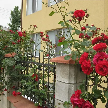 Apartment Lotos Elena's *